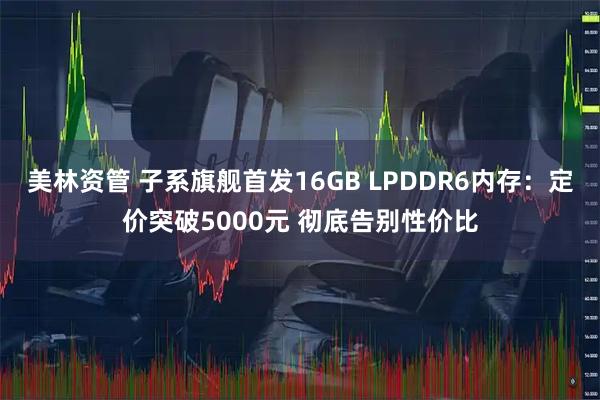 美林资管 子系旗舰首发16GB LPDDR6内存：定价突破5000元 彻底告别性价比