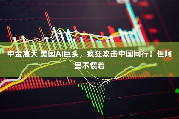中金宸大 美国AI巨头，疯狂攻击中国同行！但阿里不惯着