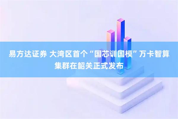 易方达证券 大湾区首个“国芯训国模”万卡智算集群在韶关正式发布